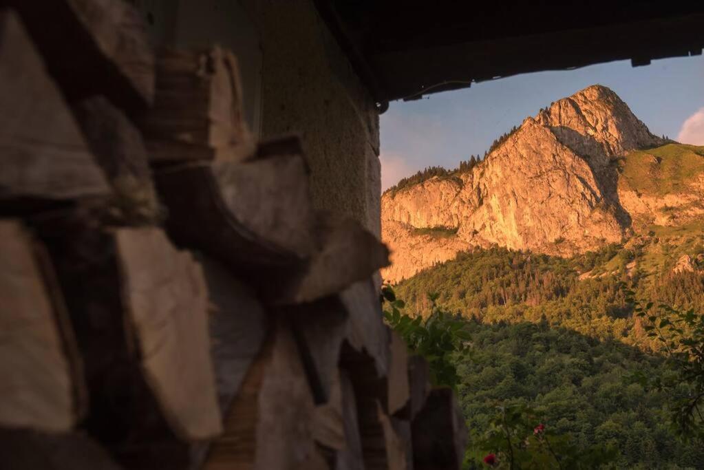 Le Bel Appartement De Montagne Bellevaux Exterior foto